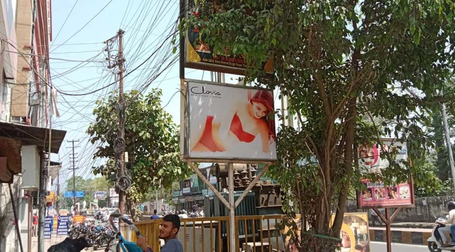 Outdoor Advertising & Branding